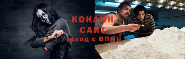 индика Армянск