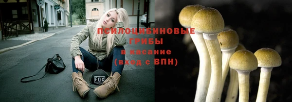 индика Армянск