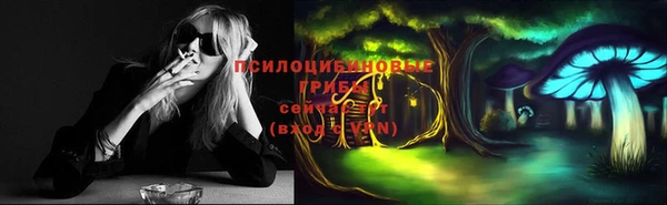 индика Армянск