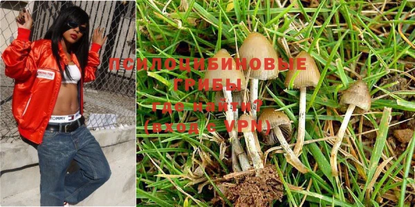 хмурый Абинск