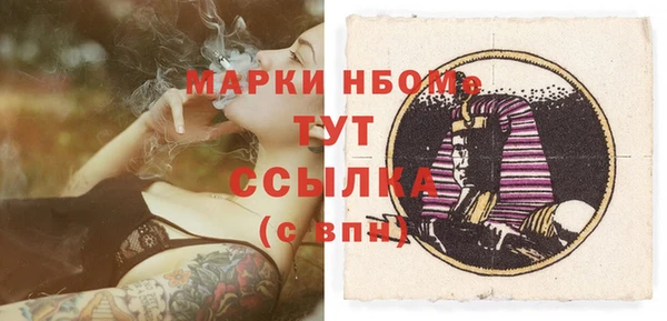 индика Армянск