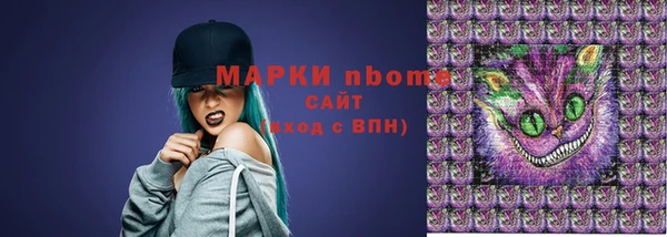 индика Армянск