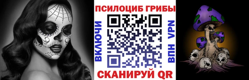 Псилоцибиновые грибы прущие грибы  Шумиха 